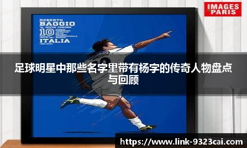 足球明星中那些名字里带有杨字的传奇人物盘点与回顾